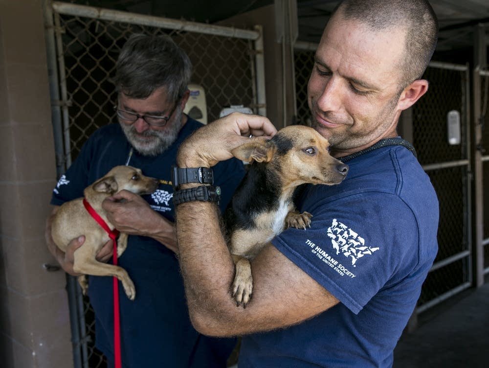 686f4f-20190128-a-beautiful-world-animal-rescue-01